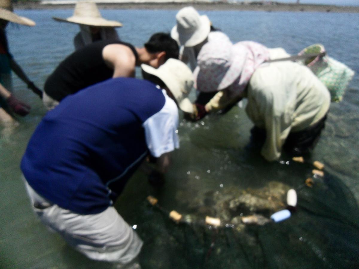 Penghu Chenhi Bay Homestay Baisha Exteriör bild